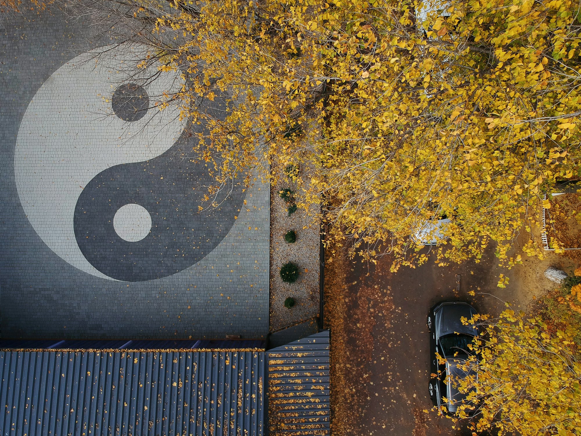 aerial photo of a yin yang sign in the park in autumn