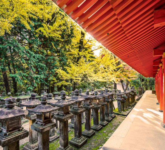 japanese-stone-lanterns-PY25KMW.jpg