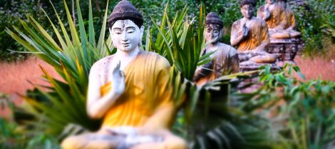 lot-buddhas-statues-in-loumani-buddha-garden-hpa-a-BMTR9H3.jpg